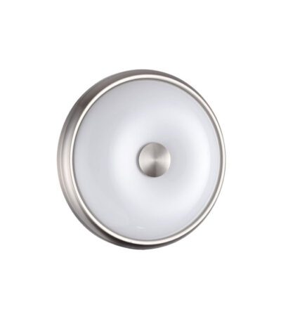 Настенно-потолочный светильник Odeon Light Pelow 4957/2