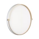 Настенно-потолочный светильник Sonex Olidi white 7646/DL