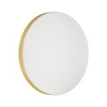 Настенно-потолочный светильник Sonex Smalli 3066/CL