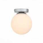 Настенно-потолочный светильник ST Luce Acini SL717.501.01