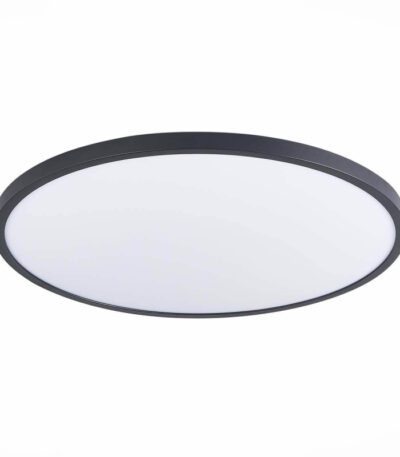 Настенно-потолочный светильник ST Luce ST601.442.48