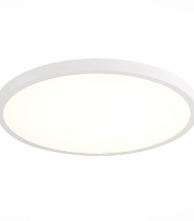 Настенно-потолочный светильник ST Luce ST601.532.32