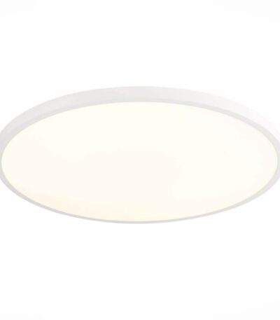 Настенно-потолочный светильник ST Luce ST601.532.48