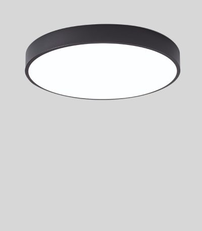 Настенно-потолочный светильник TopDecor Union P2 12