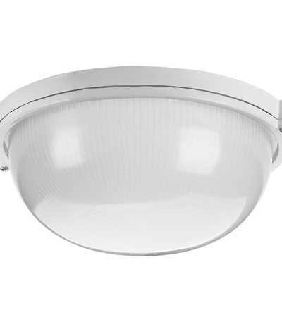 Настенно-потолочный светильник Wolta ДПБ03-100-001