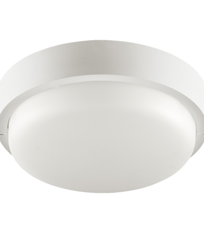 Настенно-потолочный светильник Wolta LCL04-12W-R41-6K-SBA