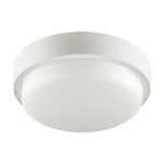 Настенно-потолочный светильник Wolta LCL04-8W-R21-4K-SM