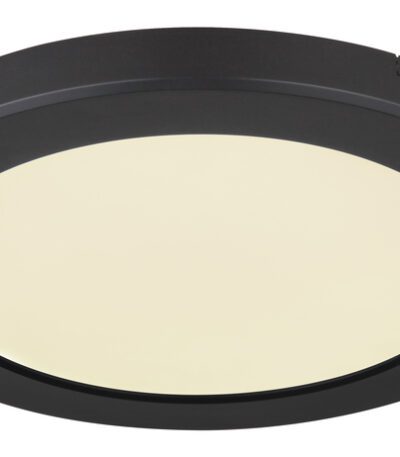 Настенно-потолочный светодиодный светильник Globo Lasse 12379-18B