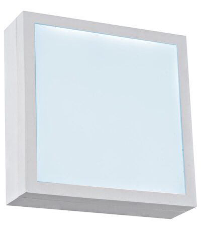 Настенно-потолочный светодиодный светильник iLedex CReator X068116 WH-6000K