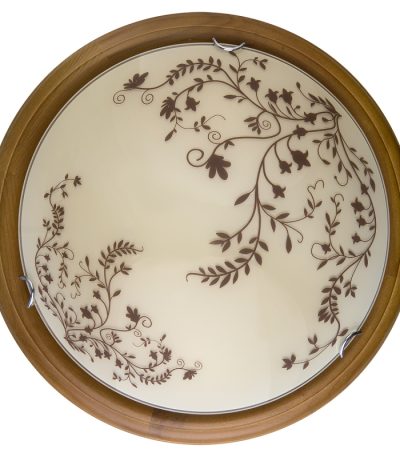 Настенно-потолочный светодиодный светильник Toplight Irene TL9630Y-00OA