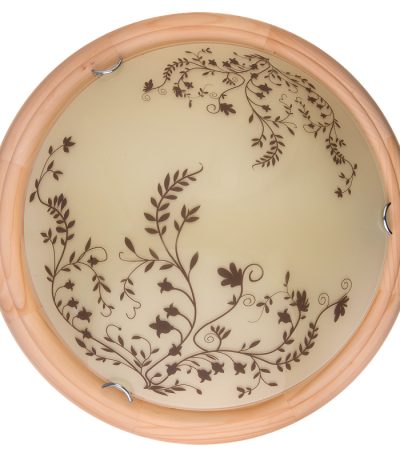 Настенно-потолочный светодиодный светильник Toplight Irene TL9630Y-00PN