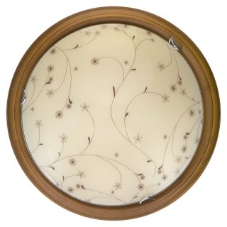 Настенно-потолочный светодиодный светильник Toplight Karissa TL9650Y-00OA