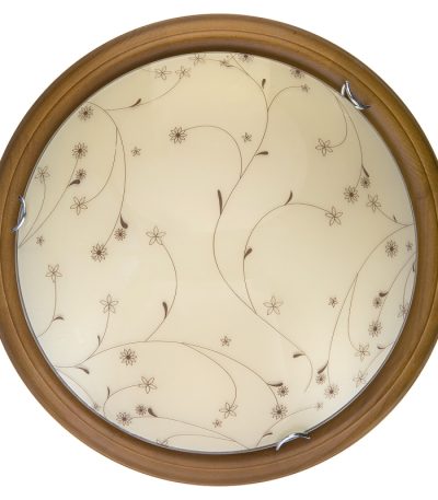 Настенно-потолочный светодиодный светильник Toplight Karissa TL9650Y-00OA