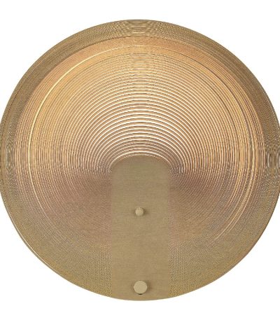 Настенный светильник ST Luce Fossil SL6900.501.16