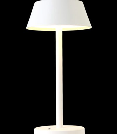 Настольная лампа Crystal Lux Santa SANTA LG1 WHITE