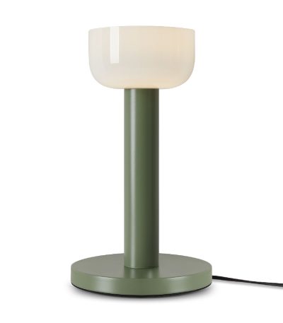 Настольная лампа Freya Barries FR6185TL-L5GN