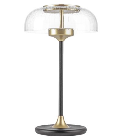 Настольная лампа Lightstar Acrile 738973