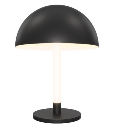 Настольная лампа Maytoni Ray Z012TL-L8B3K