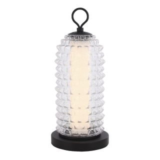 Настольная лампа ST Luce Saguaro SL6144.404.01