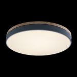 Потолочный светильник Loft IT AXEL 10001/36 Grey