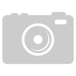 Настенный светильник Odeon Light Bild 5065/17WL