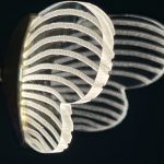 Подвесной светильник ImperiumLoft Babetta 186780-23