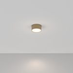 Потолочный светильник Maytoni Zon C032CL-12W4K-RD-MG