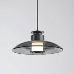 Подвесной светильник Delight Collection 8665P/L black/smoky