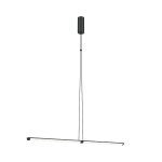 Подвесной светильник Maytoni Supersymmetry P096PL-L11BK1