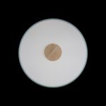 Потолочный светильник Loft IT AXEL 10003/24 Green