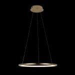 Подвесной светодиодный светильник Loft IT Ring 10014M
