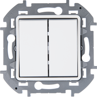 Переключатель двухклавишный Legrand Inspiria 673665