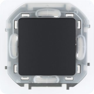 Переключатель одноклавишный Legrand Inspiria 673673