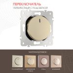 Переключатель одноклавишный перекрестный с подсветкой Arte Milano 202.35-1.shampan