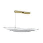 Подвесная люстра Freya Cloud FR5441PL-L40G