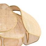 Подвесная люстра Freya Cocoon FR5529PL-01B