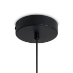 Подвесной светильник Freya Mixture FR5483PL-01B