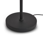 Торшер Freya Aqua FR5553FL-L20B