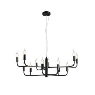 Подвесная люстра Aployt Evlalia APL.338.13.12