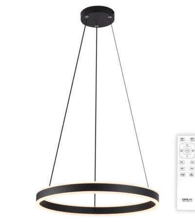 Подвесная люстра Citilux Дуэт CL719501