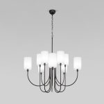 Подвесная люстра Eurosvet Abbey 60164/10 черный Smart a065748