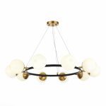 Подвесная люстра Evoluce Forli SLE220403-10