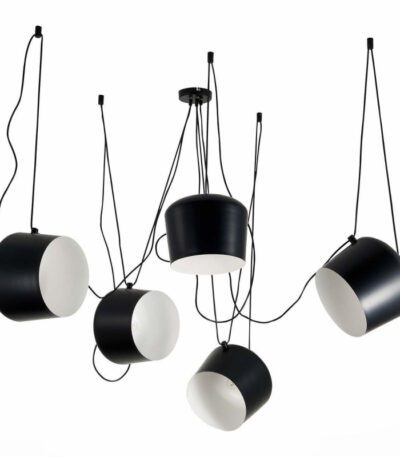 Подвесная люстра Evoluce Trieste SLE120643-05