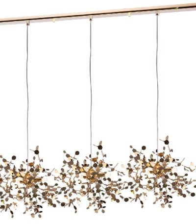 Подвесная люстра Lightstar Extra (721132+572162) L5PL721132