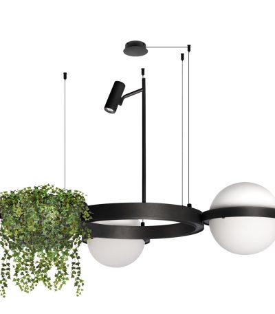 Подвесная люстра Loft IT Jardin 10121/2