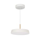 Подвесной светильник Arlight SP-Elegant-R300-17W Day4000 033919