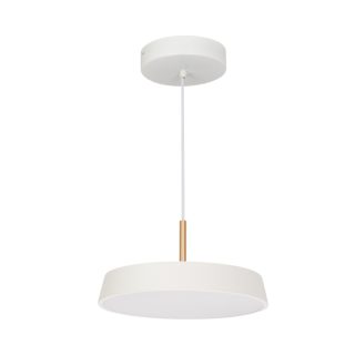 Подвесной светильник Arlight SP-Elegant-R300-17W Day4000 033919