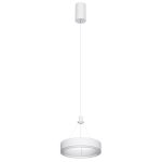 Подвесной светильник Citilux Дуэт CL719010