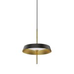 Подвесной светильник DeLight Collection MD18001061-1A  black/gold