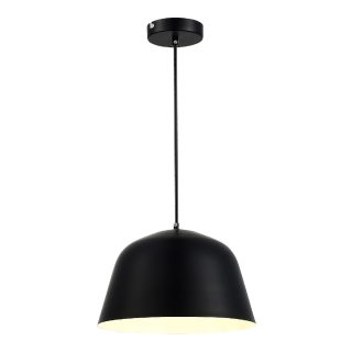 Подвесной светильник Evoluce Blank SLE1805-403-01